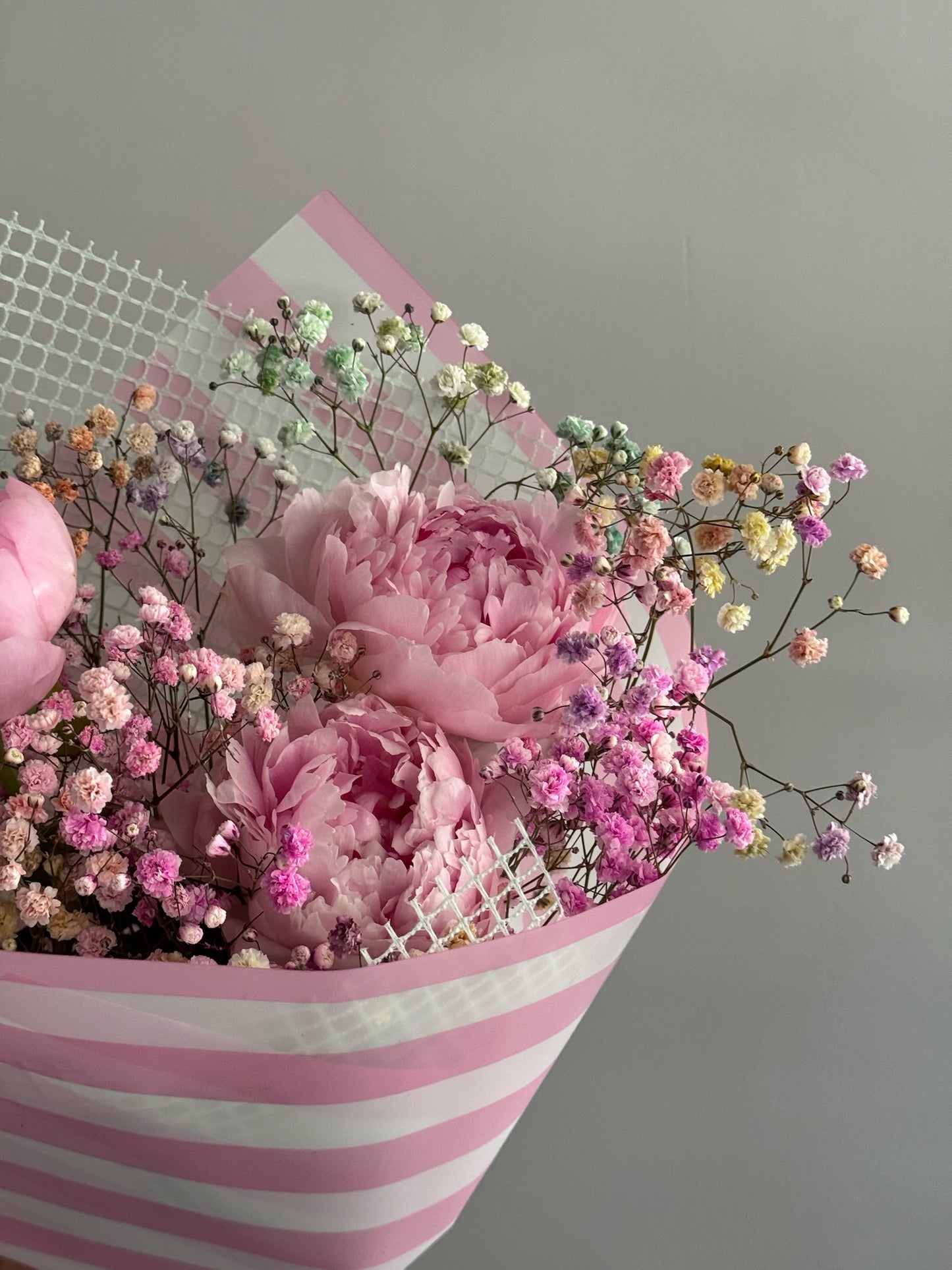Pink peonies in wrapping paper on grey background
