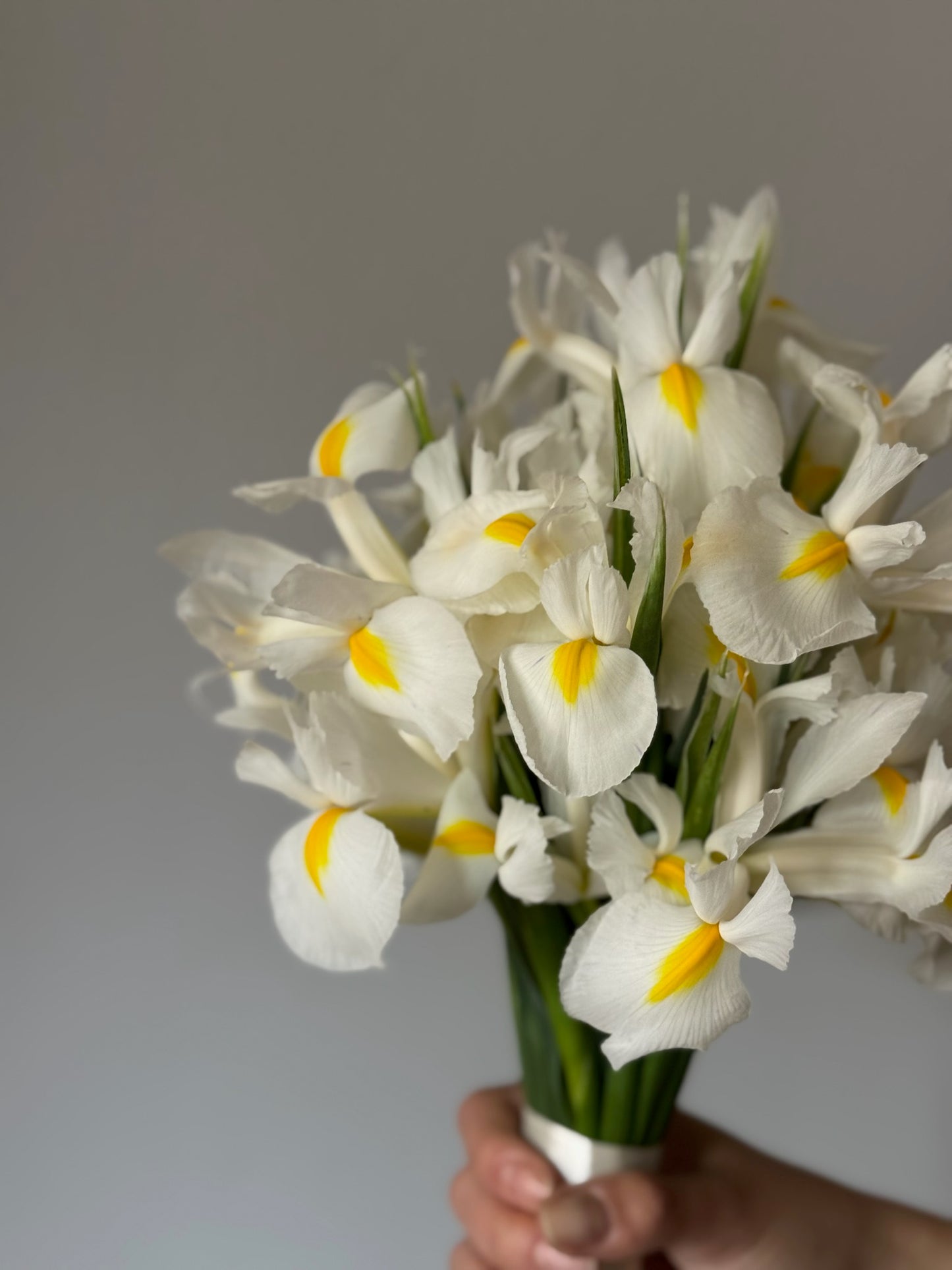 White flowers in bouquet on grey background