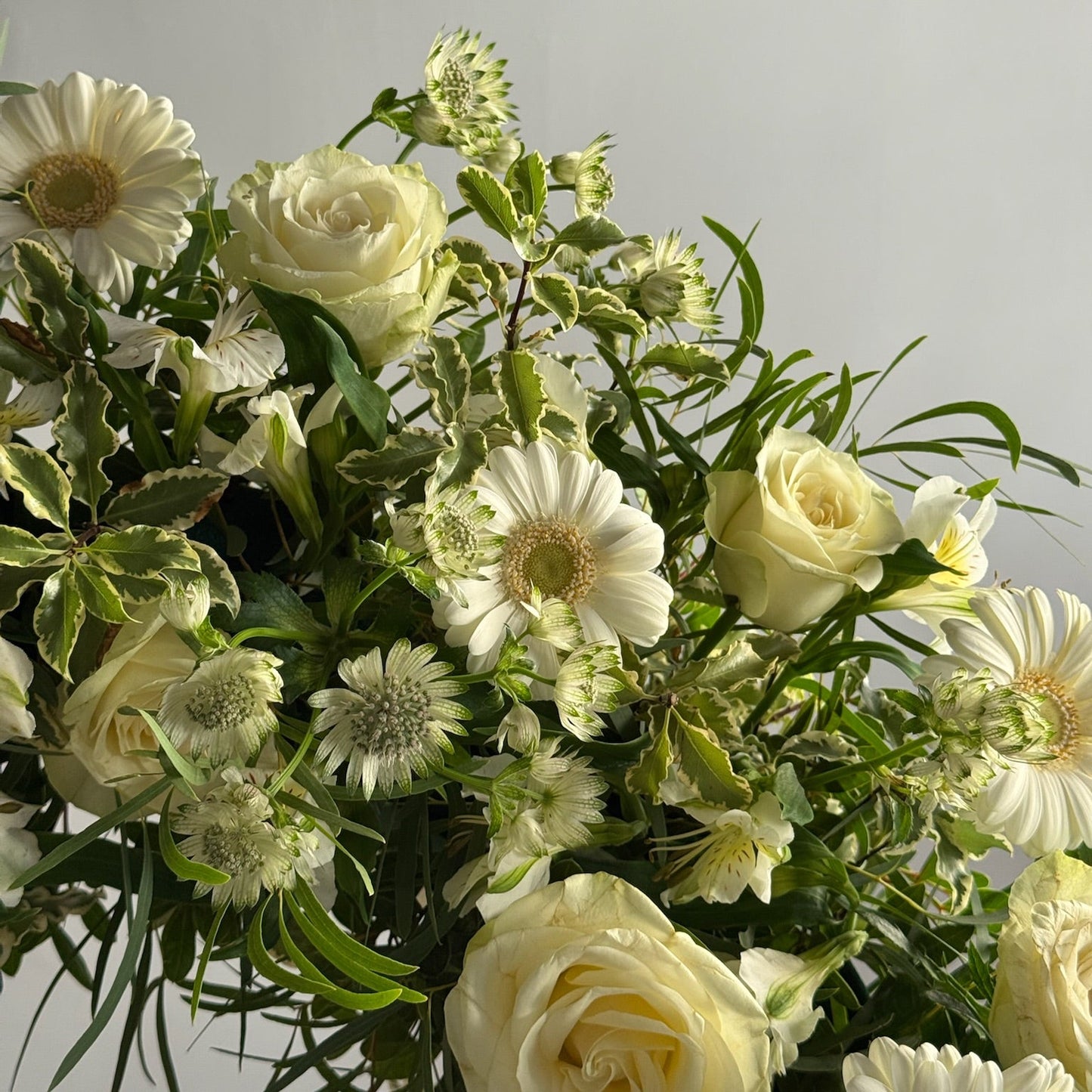 Bouquet of white and green flowers on a light gray background