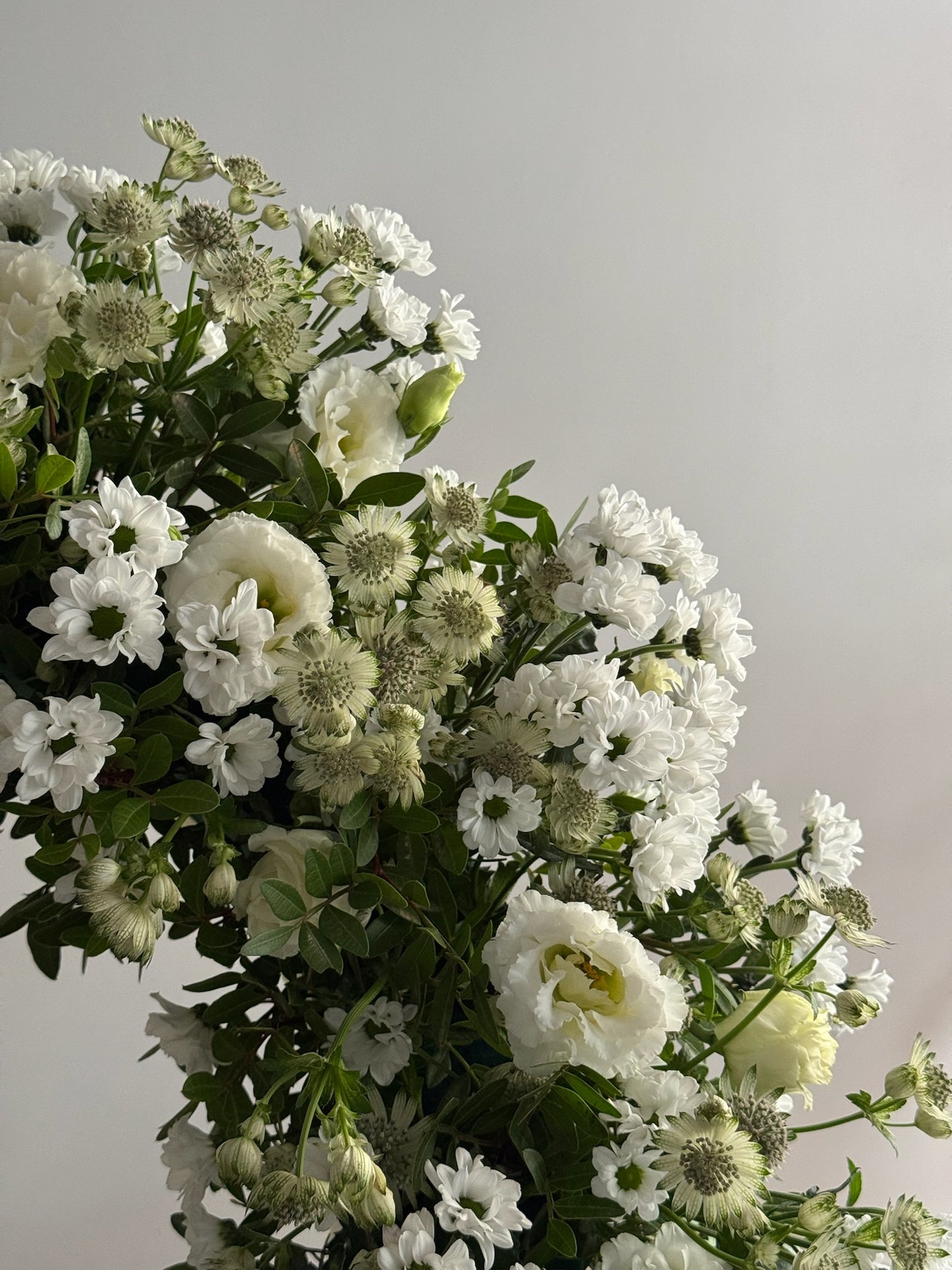 Bouquet of white flowers with greenery on a light gray background