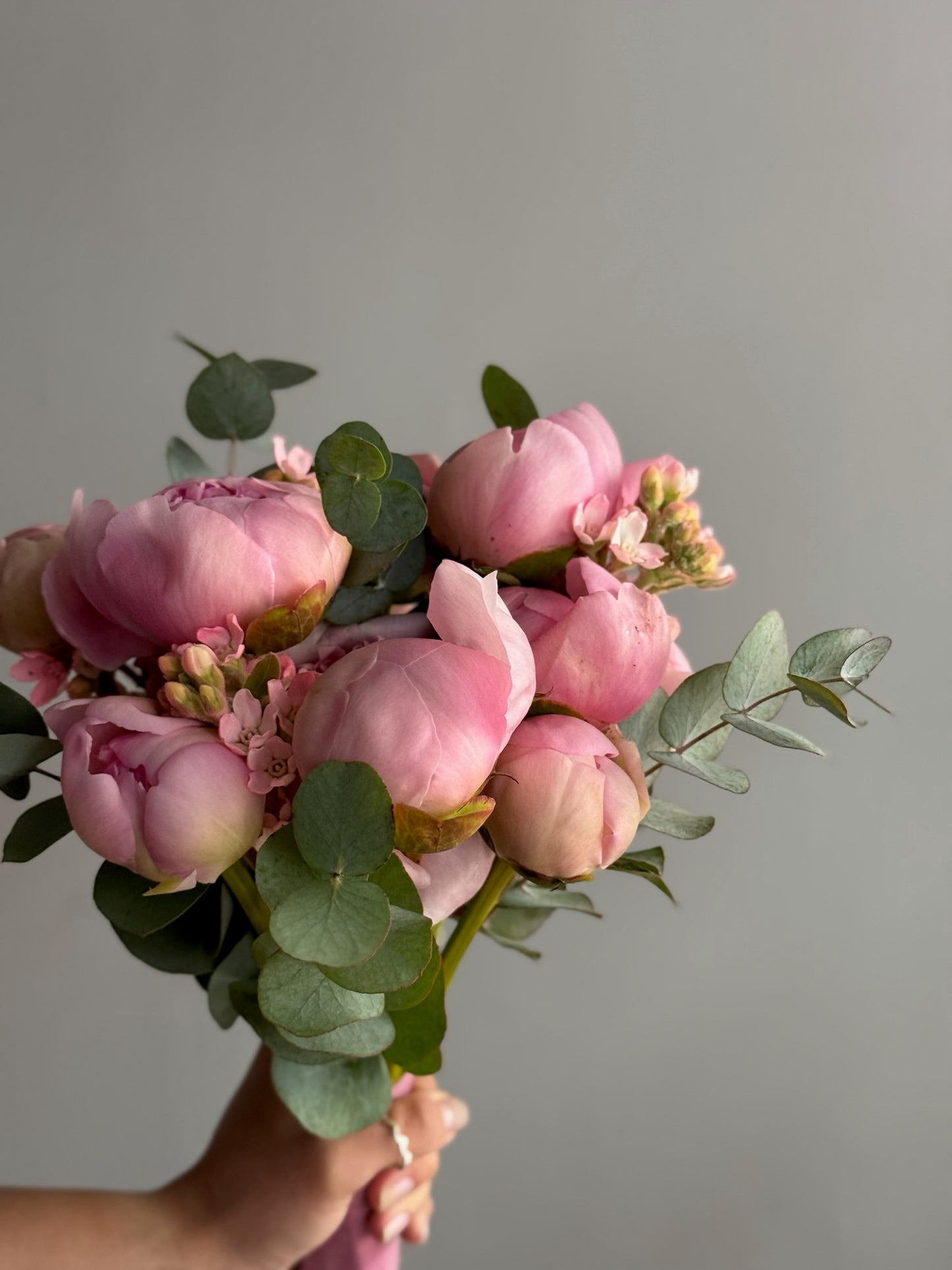 Bouquet of pink flowers with green leaves held against a gray background