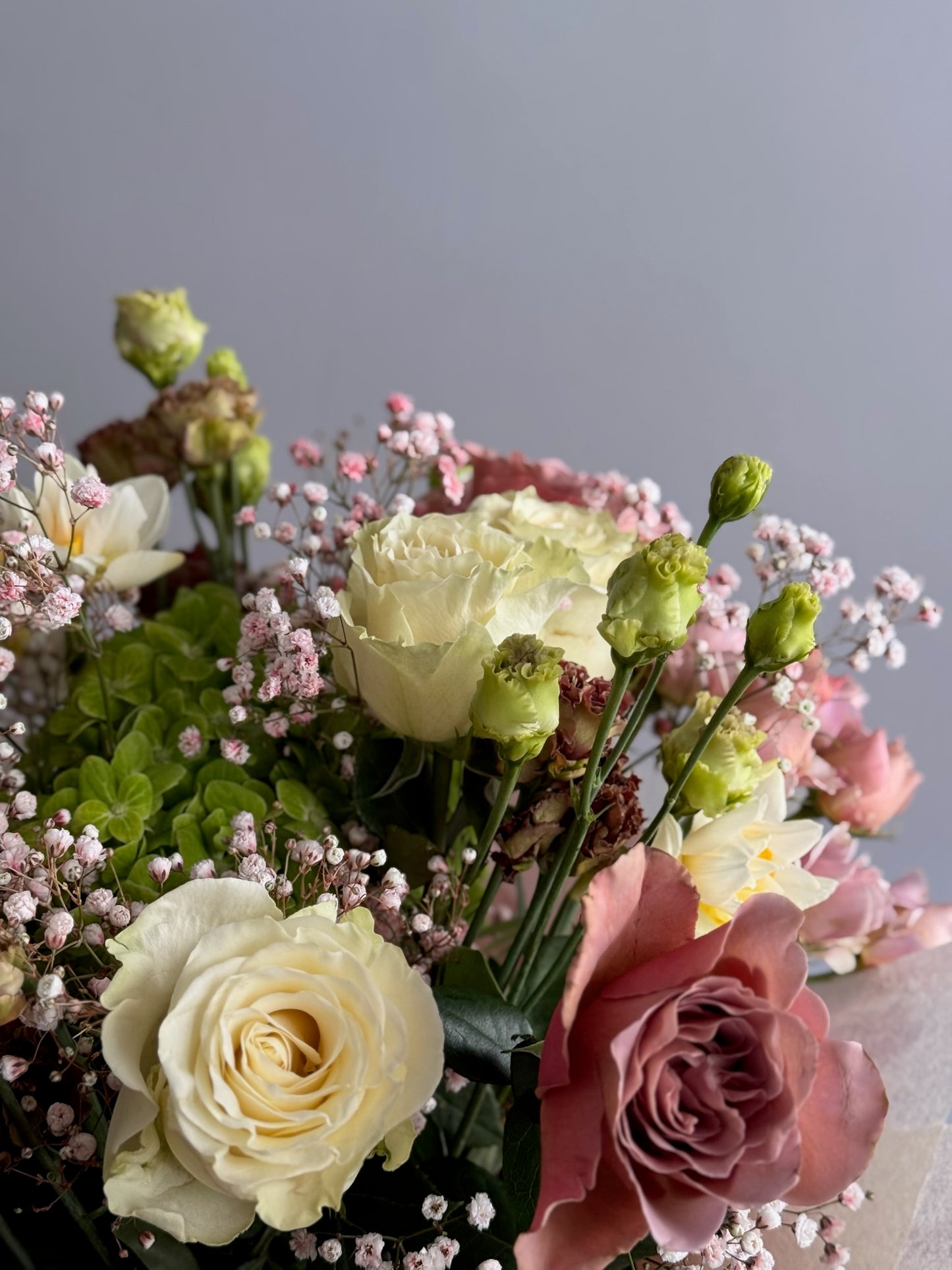 Bouquet of flowers with roses and hydrangeas on a light gray background