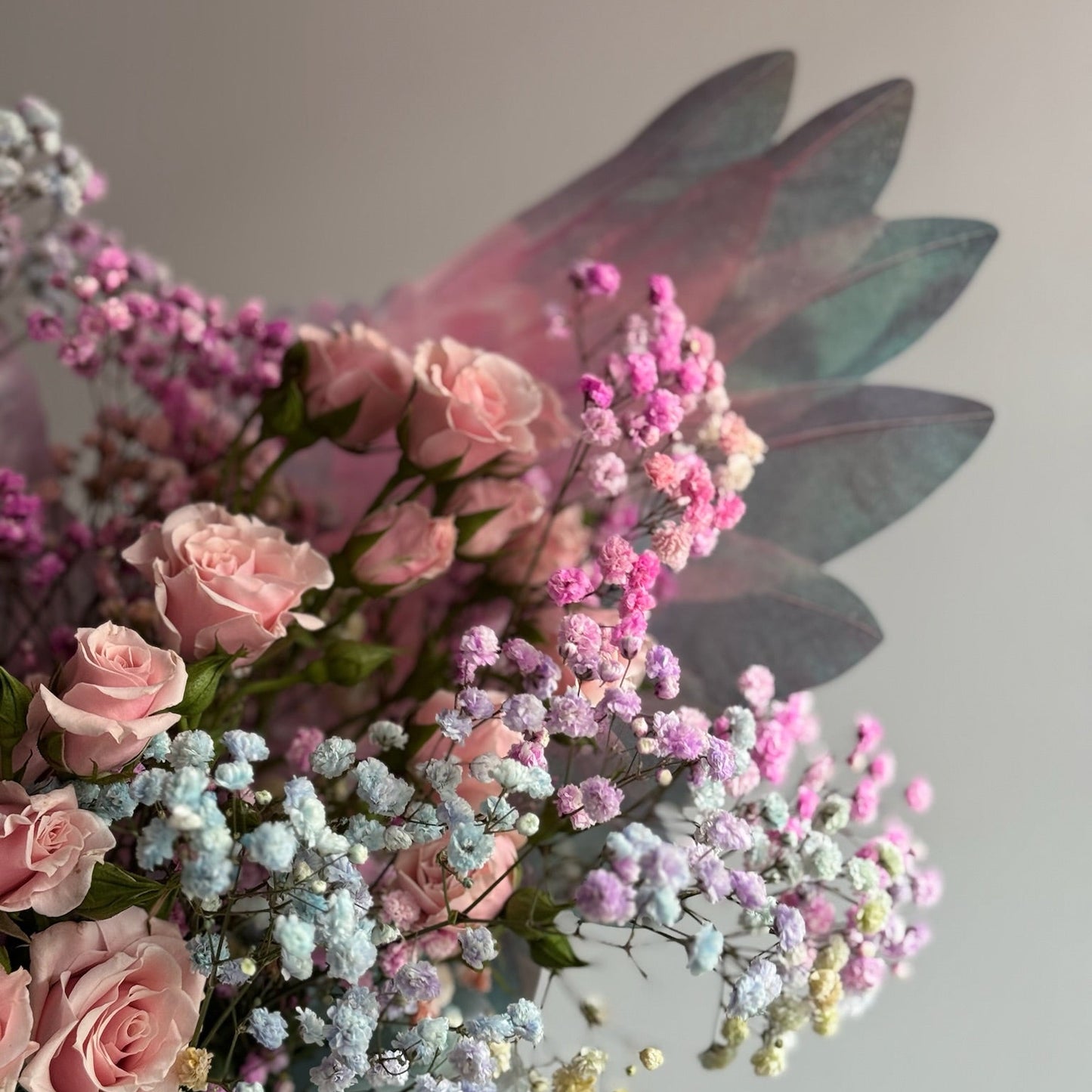 Bouquet of pink roses and baby's breath with a white background