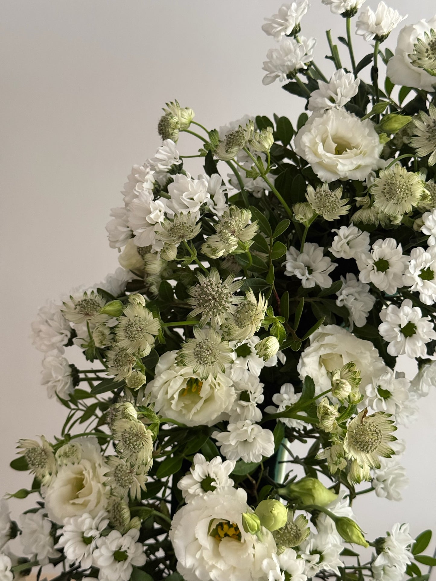 Bouquet of white flowers with greenery on a plain background