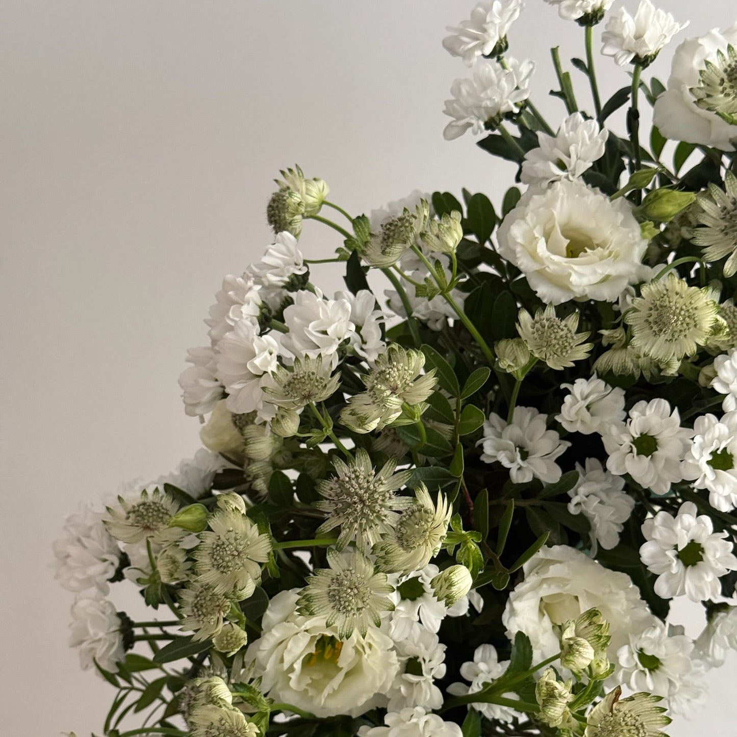 Bouquet of white flowers with greenery on a plain background