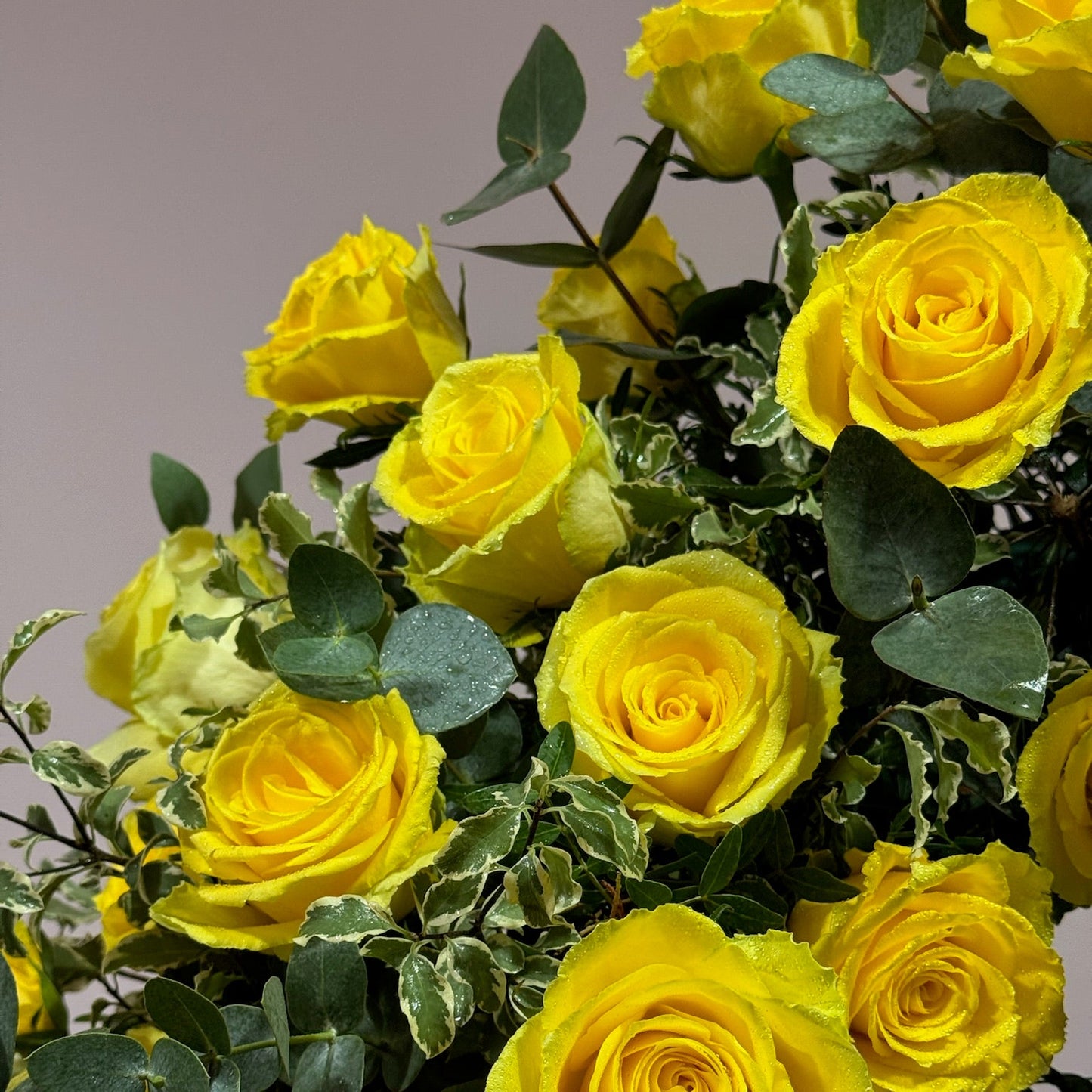 Bouquet of yellow roses with green leaves on a gray background