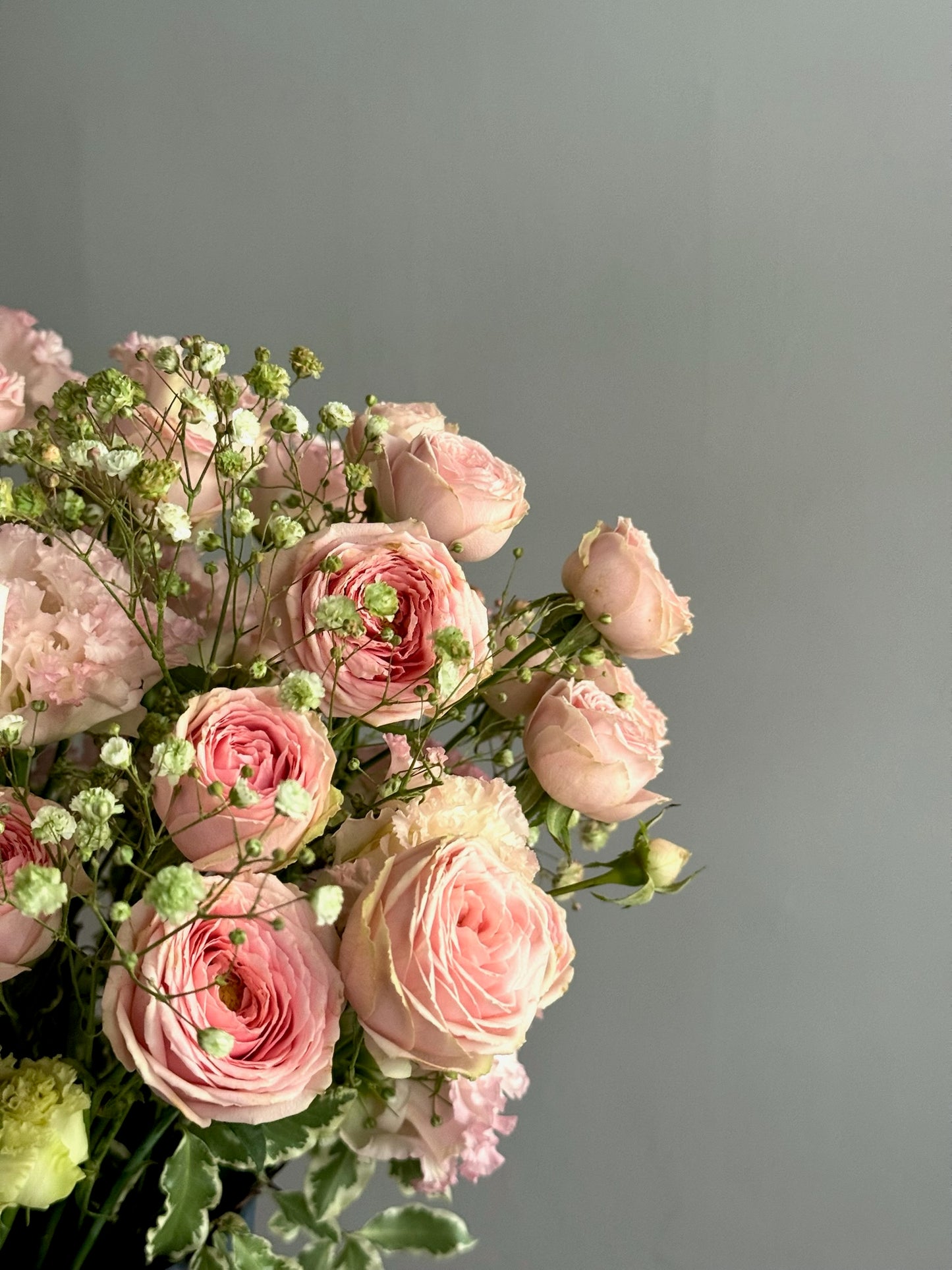 Bouquet of pink flowers with a gray background