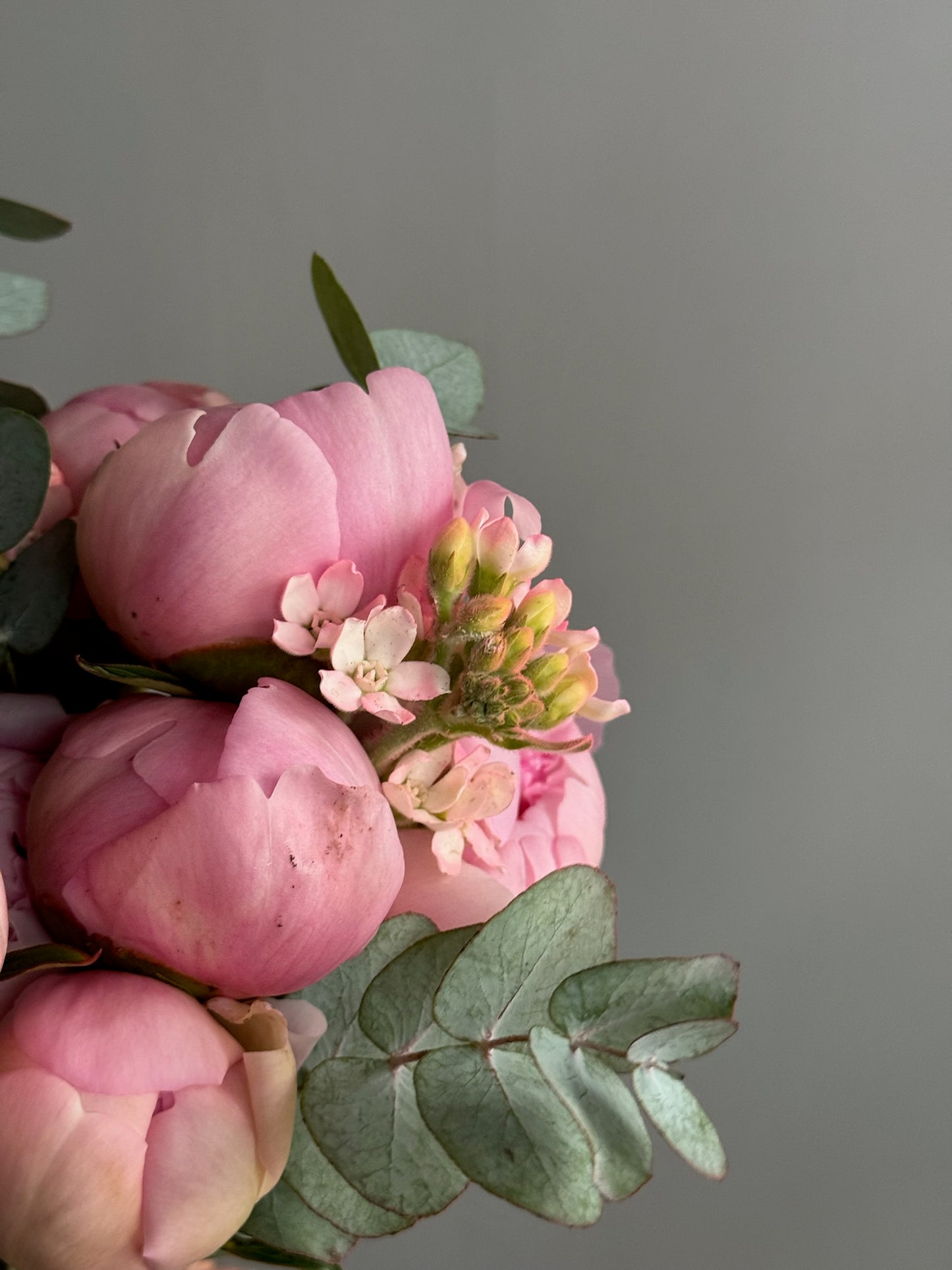 Bouquet of pink flowers with green leaves against a gray background