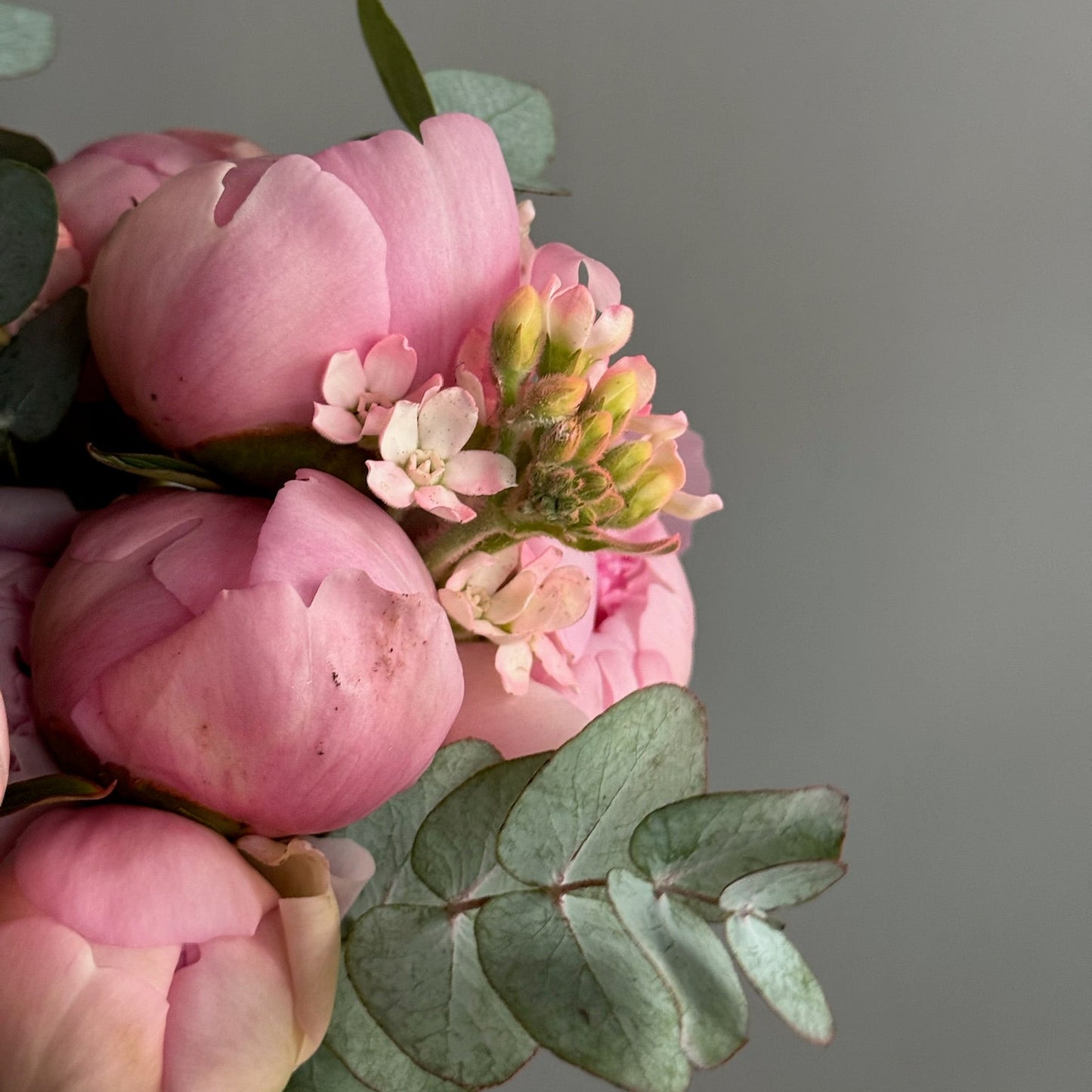 Bouquet of pink flowers with green leaves against a gray background