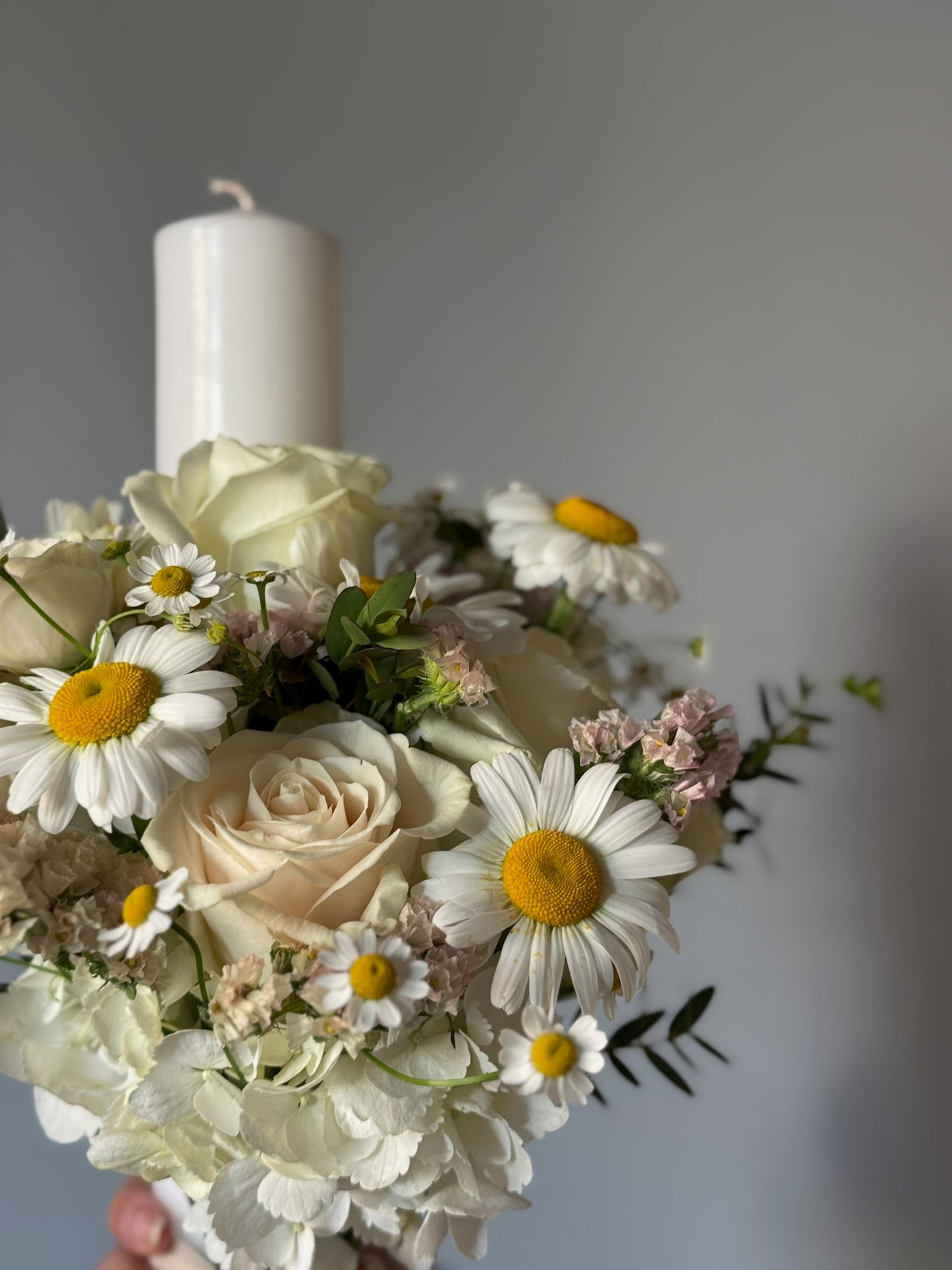 Chamomile flowers in candle with bouquet on grey background 
