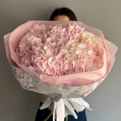 Person holding pink big bouquet at grey background 