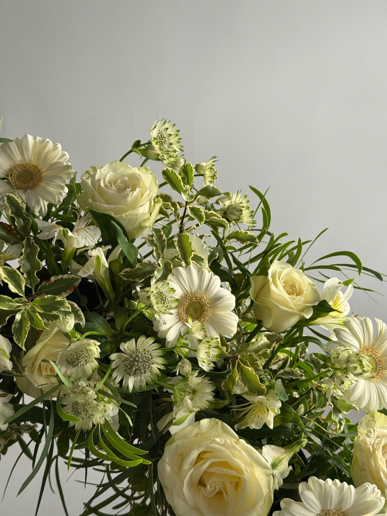 Bouquet of white and green flowers on a light gray background