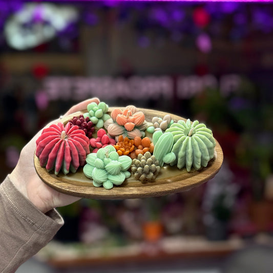Hand holding a wooden plate with colorful succulent-shaped candles against a blurred background