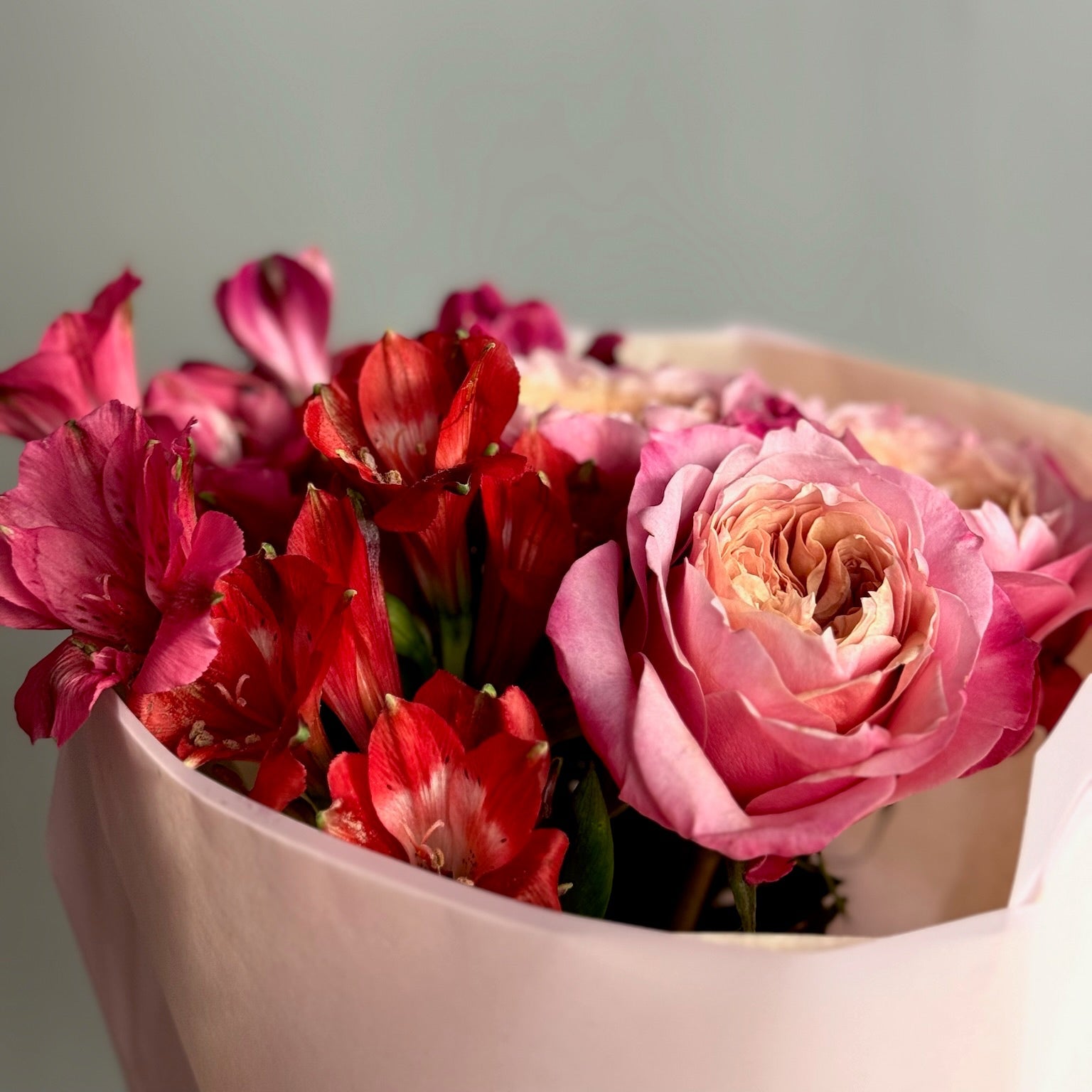 Detaliu Feelin’ Hot – texturi florale vibrante și culori de vară, Roses & More