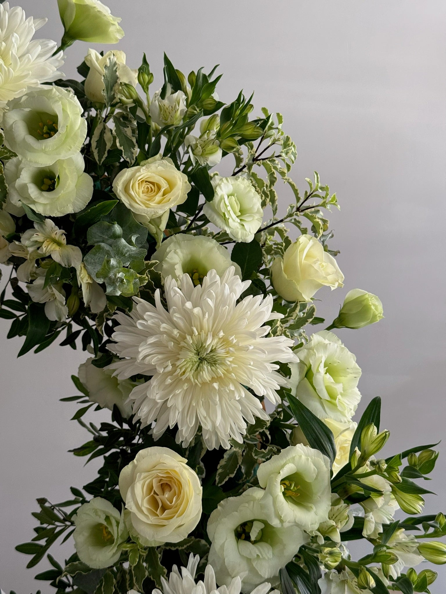 Bouquet of white and light green flowers with greenery on a gray background